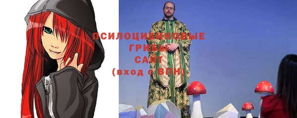стаф Балахна