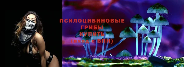 стаф Балахна