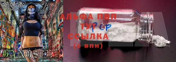 стаф Балахна