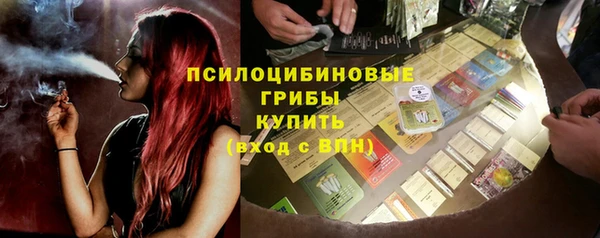 стаф Балахна