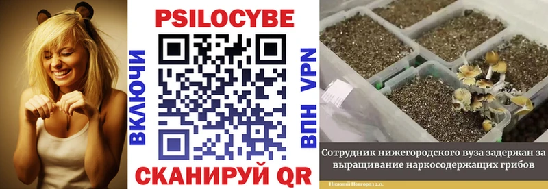 Галлюциногенные грибы мицелий  цена наркотик  Кондрово 
