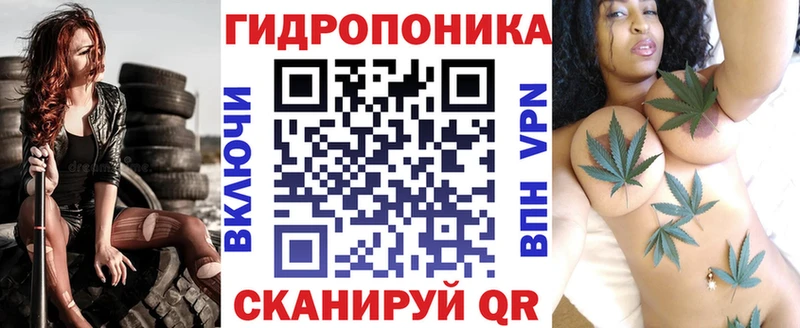 Бошки Шишки сатива  Кондрово 